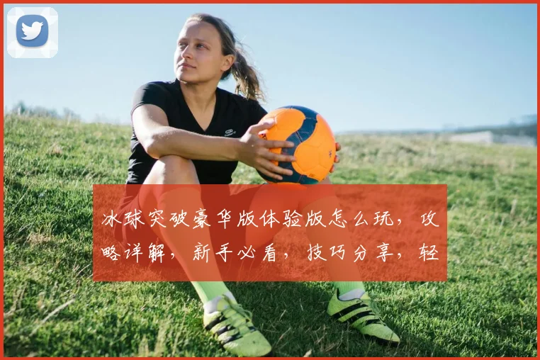 冰球突破豪华版体验版怎么玩，攻略详解，新手必看，技巧分享，轻松上手